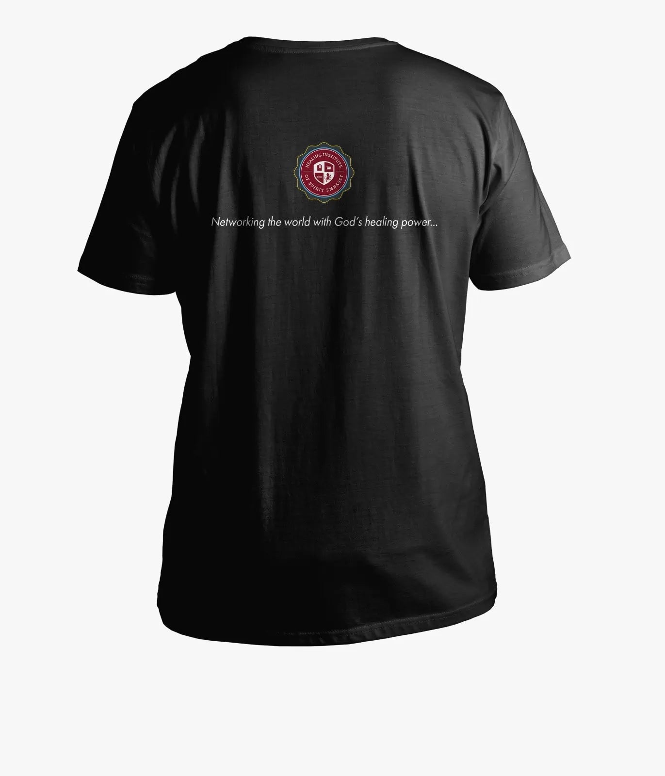 Healing Institute T-shirt