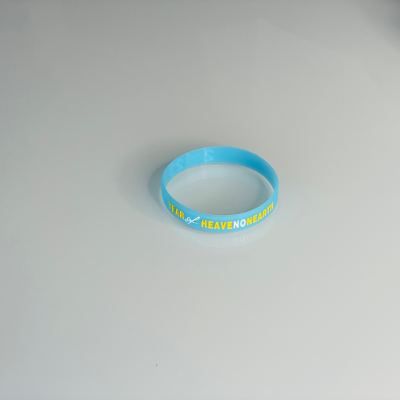 Heaven on Earth 2023 Wristband