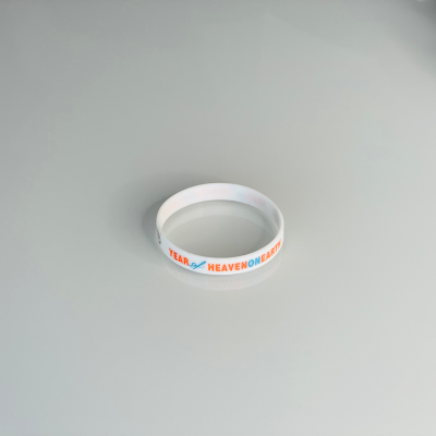 Heaven on Earth 2023 Wristband