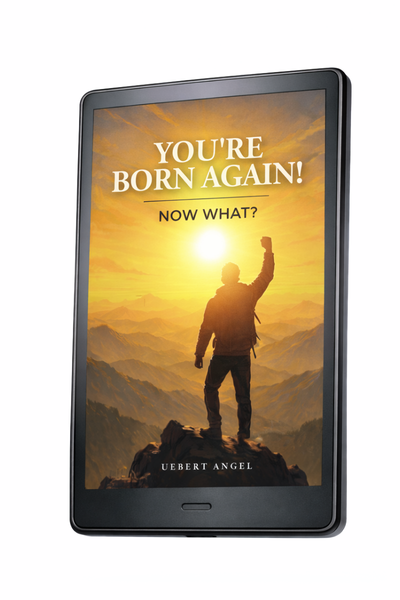 You're Born Again (Now What?) (e-Book)